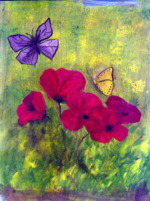 Coquelicots